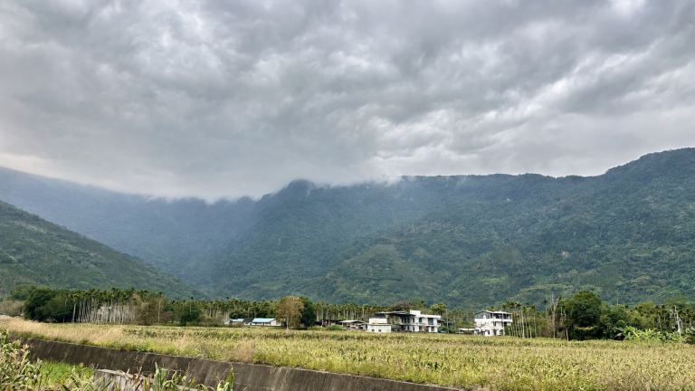花蓮山谷雲霧下的農田與聚落，呈現自然地景與地方生活交織的樣貌