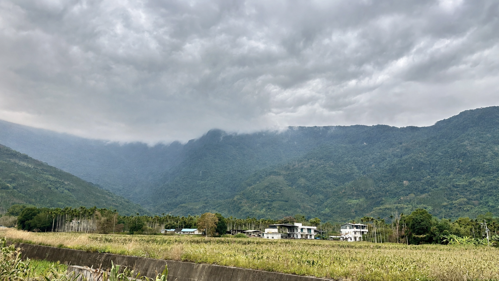花蓮縱谷與部落生活場景，象徵花蓮看懂關注自然與人文並重的地方知識